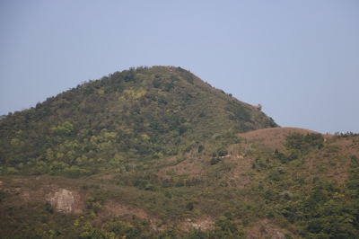 IMG_8391.JPG