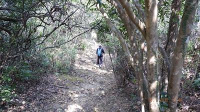 _DSF0132.JPG