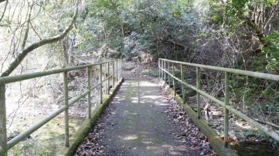 _DSF0142.JPG