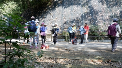 _DSF0145.JPG