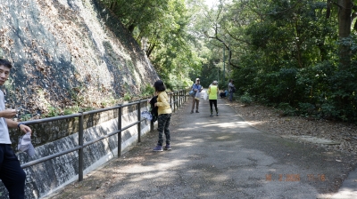 _DSF0147.JPG