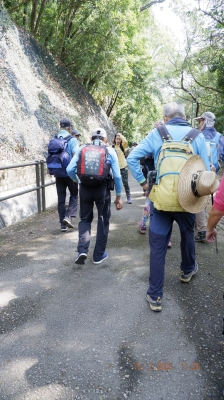 _DSF0160.JPG