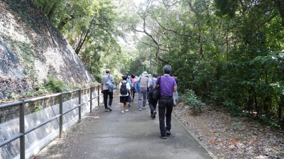 _DSF0162.JPG