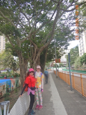 DSCN2395.JPG