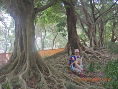 DSCN2398.JPG