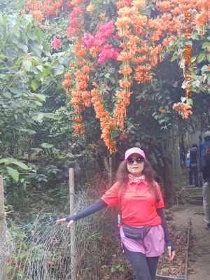 DSCN2417.JPG