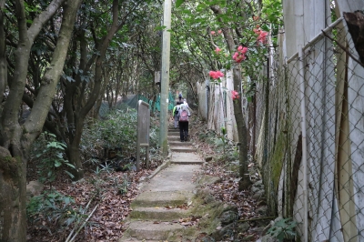 IMG_8694.JPG