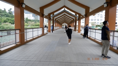 _DSF0094.JPG