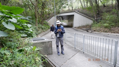 _DSF0140.JPG
