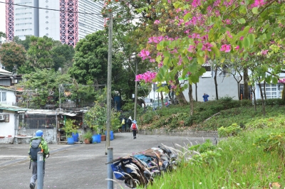 R04_9217.jpg
