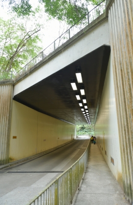 R04_9293.jpg