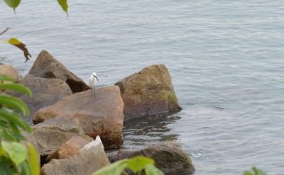 R04_9347.jpg