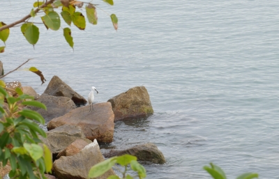 R04_9348.jpg