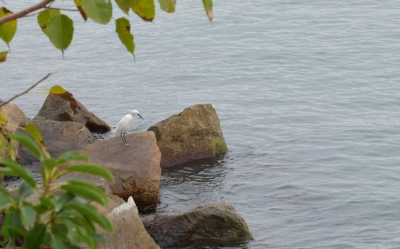 R04_9349.jpg