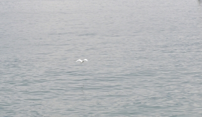 R04_9352.jpg
