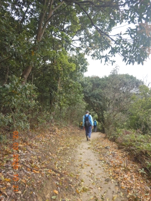 DSCN2523.JPG