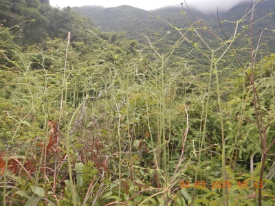 DSCN2535.JPG