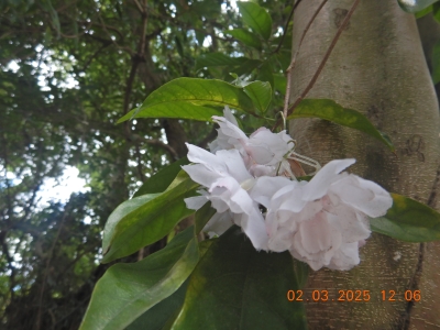 DSCN2553.JPG