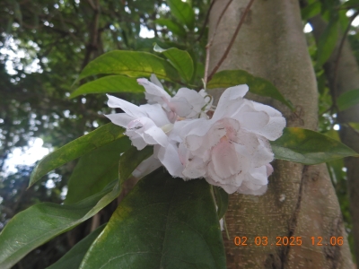 DSCN2554.JPG