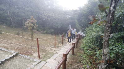_DSF0020.JPG