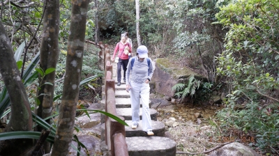 _DSF0134.JPG