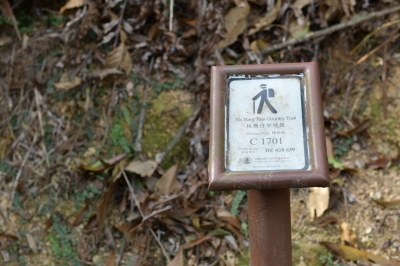 R04_9423.jpg