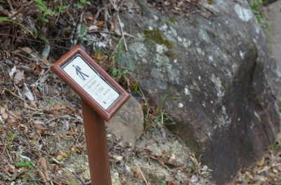 R04_9460.jpg