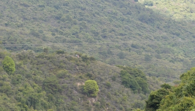 R04_9485.jpg