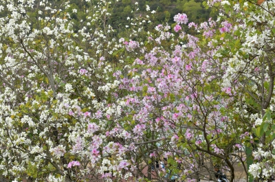 R04_9570.jpg