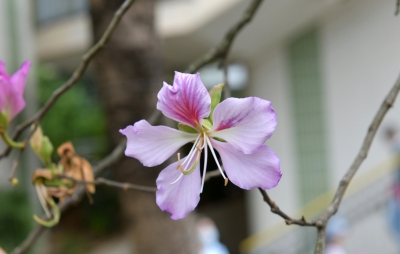R04_9573.jpg