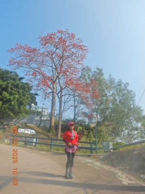 DSCN2597.JPG