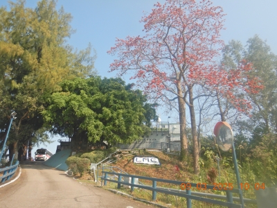 DSCN2598.JPG