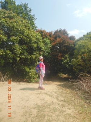 DSCN2667.JPG
