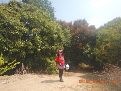 DSCN2668.JPG