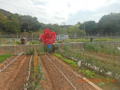 DSCN2696.JPG
