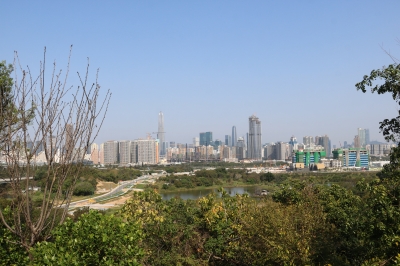 IMG_9440.JPG