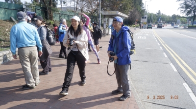 _DSF0022.JPG