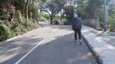 _DSF0053.JPG