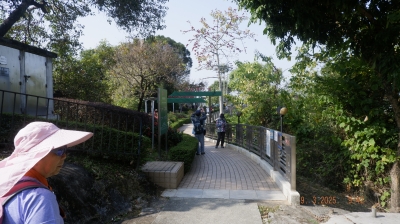 _DSF0057.JPG