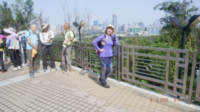 _DSF0058.JPG