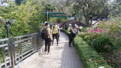 _DSF0062.JPG