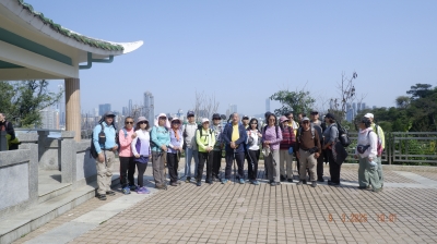 _DSF0084.JPG