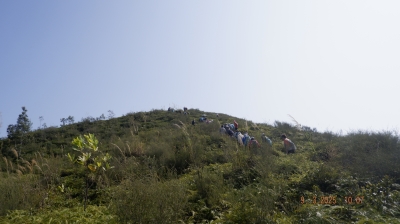 _DSF0087.JPG