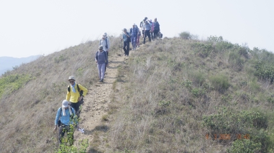_DSF0106.JPG