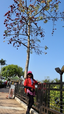 P3090200.JPG