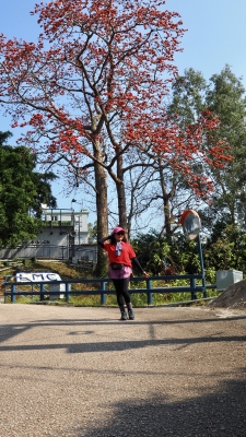 P3090225.JPG