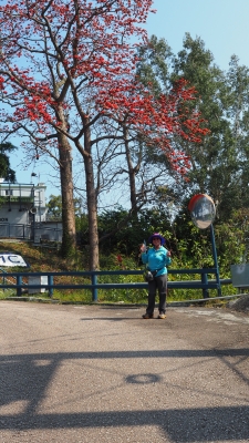 P3090229.JPG