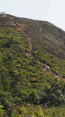 P3090234.JPG