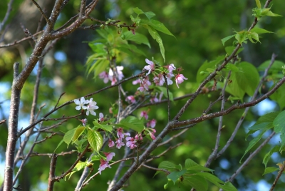 R04_9628.jpg