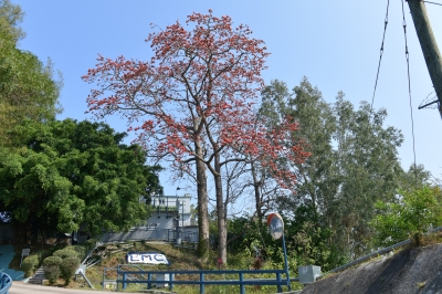 R04_9660.jpg